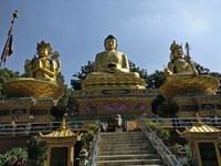 <div id=myiframe><iframe src=http://www.facebook.com/plugins/like.php?href=http%3A%2F%2Fsajha%2Ecom%2Fsajha%2Fhtml%2Findex%2Ecfm%3Frecommendations%3D1%26id%3D190%26photofile%3DIMG%5F20161107%5F113556%2Ejpg&layout=standard&show_faces=false&share=true&width=450&action=like&colorscheme=dark&height=15 scrolling=no frameborder=0 allowTransparency=true></iframe></div>